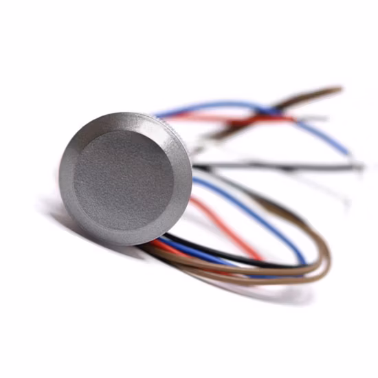 Wasserdichter Outdoor IP67 Wg26/34 125kHz Em Card Mini RFID Lf ID Kartenleser