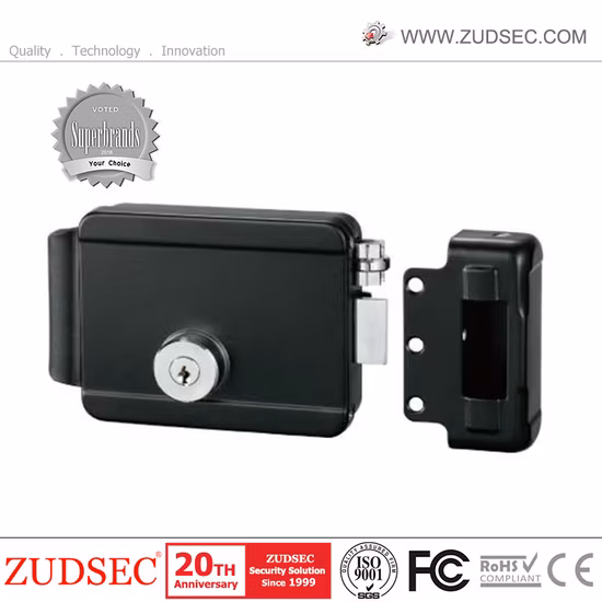 Elektronisches elektrisches Türschloss, Türöffner, Riegelrand, magnetisches elektromagnetisches Schloss